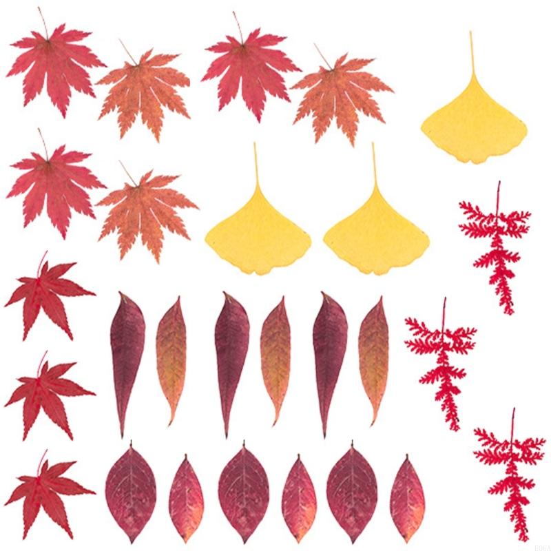 Fiori pressati essiccati per s - Resin Craft Ideas recensione e prezzo