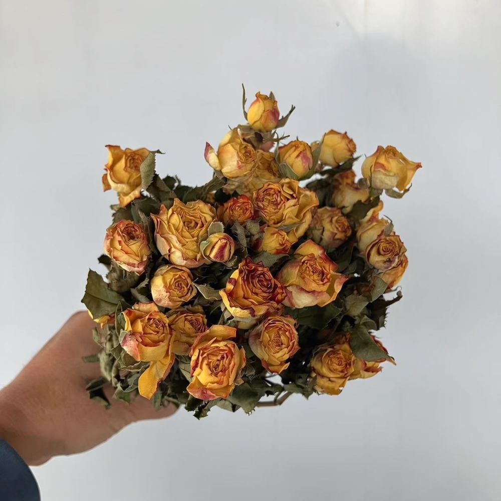 Mazzo di rose naturali stabili - Resin Craft Ideas recensione e prezzo