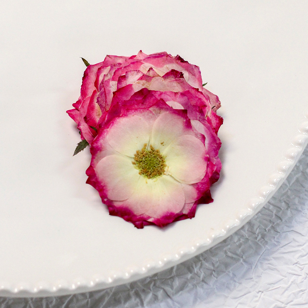 60 rose vere pressate gialle d - Resin Craft Ideas recensione e prezzo