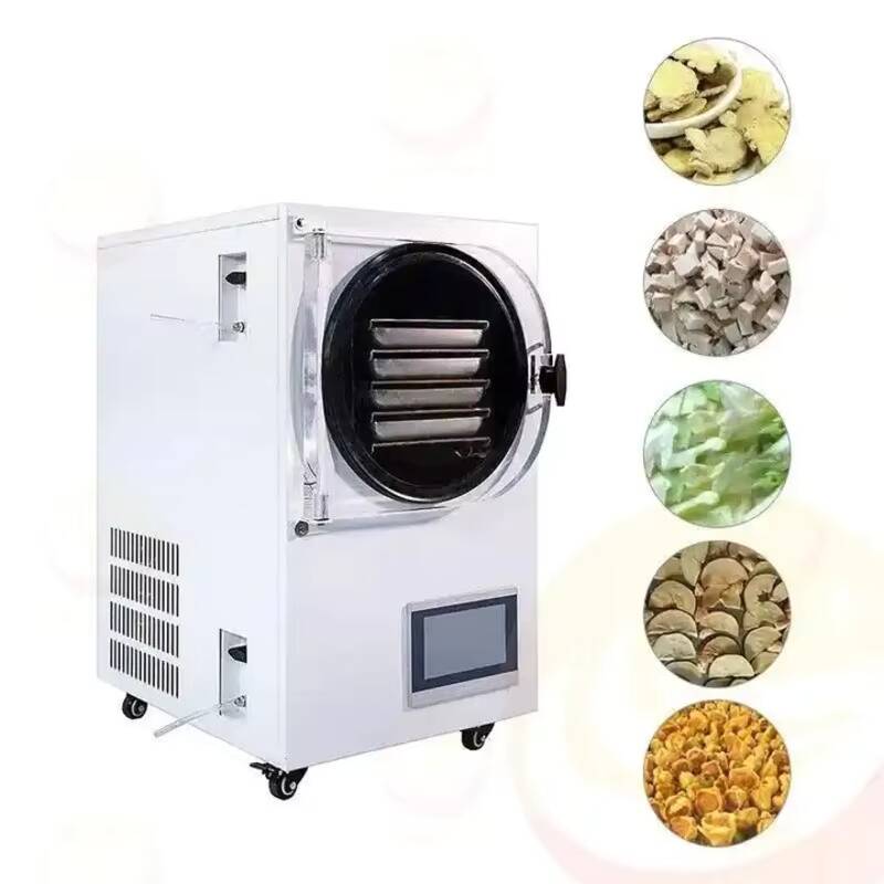 Macchina per liofilizzazione P - Vacuum Chamber Small recensione e prezzo