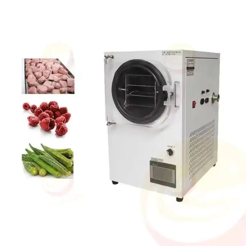 Macchina per liofilizzazione P - Vacuum Chamber Small recensione e prezzo